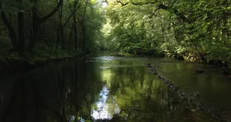 Au Bois de Calais Au Bois de Calais