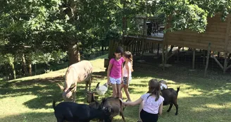 Camping L'Offrerie