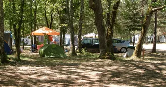 CAMPING LA FORET CAMPING LA FORET