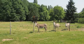 Camping la Ferme de Perdigat Camping la Ferme de Perdigat