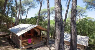 Camping Le Mas de Reilhe