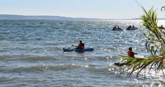 Camping MARINA PLAGE