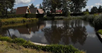 Camping Les Pinasses Camping Les Pinasses