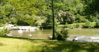 Camping La Berge Fleurie