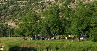 CAMPING LES PLATANES