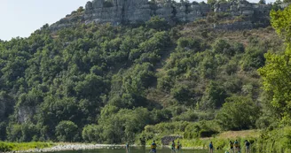 CAMPING LES PLATANES