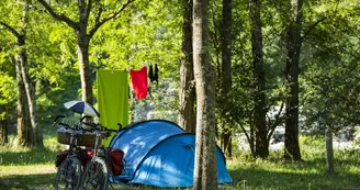 CAMPING LES PLATANES