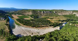 CAMPING LES PLATANES