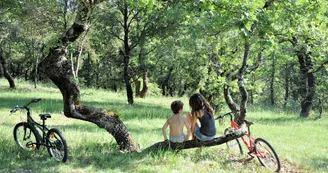 Camping L'Ombrage Camping L'Ombrage
