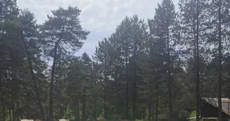 Camping Les Sapins de Correze Camping Les Sapins de Correze