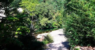 Camping des Drouilhèdes