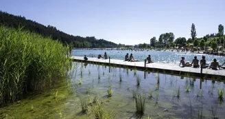 Le Lac des Sapins