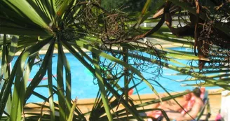 Centre naturiste Terme d'Astor Centre naturiste Terme d'Astor