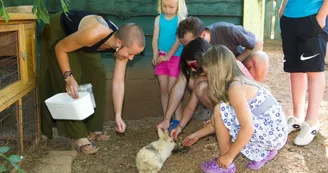 Camping les Monts d'Albi