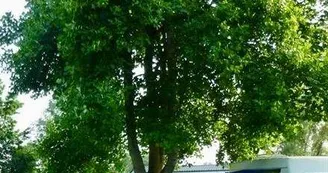 Camping Vert Auxois