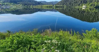 Le lac de Gérardmer Le lac de Gérardmer