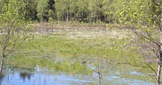 Le Conservatoire d'Espaces Naturels de Lorraine Le Conservatoire d'Espaces Naturels de Lorraine