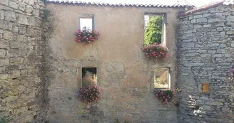 Les dada tours Les dada tours