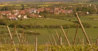 Commune de Vic-sur-Seille Commune de Vic-sur-Seille