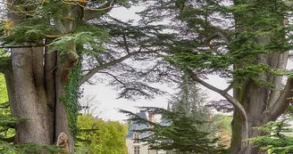 NOYANT DE TOURAINE-Château de Brou