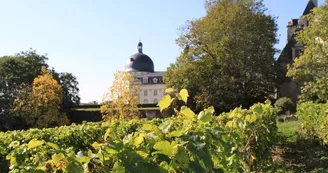 Château de Valençay et vignes Château de Valençay et vignes