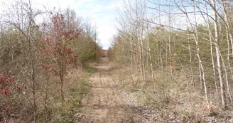 L'espace naturel sensible de la Pelouse de Grand Vau L'espace naturel sensible de la Pelouse de Grand Vau