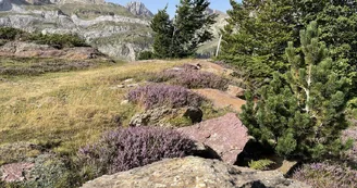 Espace du Somport en été 3 Espace du Somport en été 3