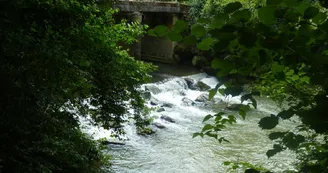 Lespielle aire pique-nique credit tourisme bearn madiran 2024 (4) Lespielle aire pique-nique credit tourisme bearn madiran 2024 (4)