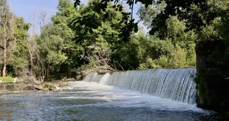 Le Moulin du Duellas Le Moulin du Duellas