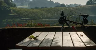 Oronozia Baigorri-Terrasse vue sur les vignes Oronozia Baigorri-Terrasse vue sur les vignes