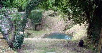 Lavoir des Chapelains - Saint-André-et-Appelles - Patrice Coutaud Lavoir des Chapelains - Saint-André-et-Appelles - Patrice Coutaud