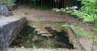 Lavoir des Bournets - Pineuilh - Patrice Coutaud Lavoir des Bournets - Pineuilh - Patrice Coutaud