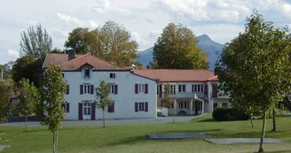 Camieta