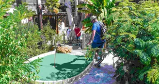 Jungle-Golf Jungle-Golf