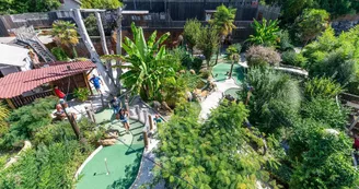 Jungle-Golf Jungle-Golf