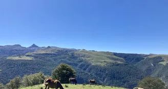 Détente à Issarbe, vue sur le Pic d'Anie Détente à Issarbe, vue sur le Pic d'Anie