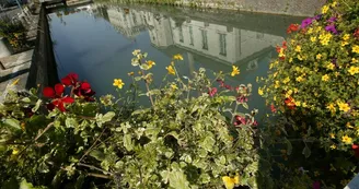 CANAL.JPG CANAL.JPG