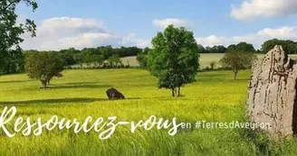 Office de Tourisme Terres d'Aveyron Office de Tourisme Terres d'Aveyron