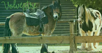 Equitation