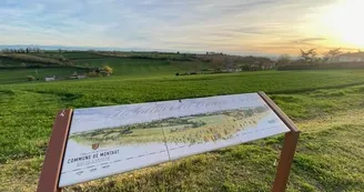 Montaut_paysage_tableorientation_sunset_pri@stephaneyhuel