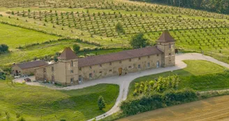 domaine domaine