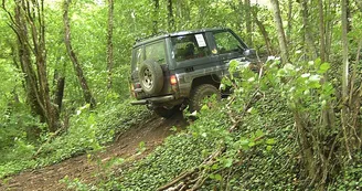 Cobra 4x4 à Cohons Cobra 4x4 à Cohons