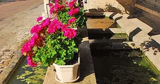 Lavoir de Ternat