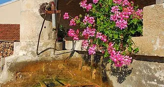 Lavoir de Ternat