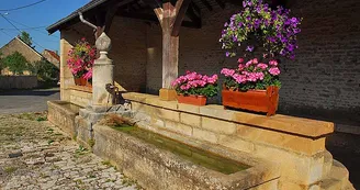 Lavoir de Ternat