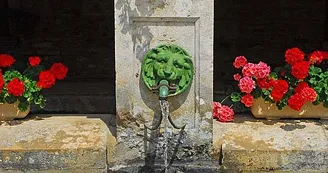 Lavoir de Vitry-en-Montagne