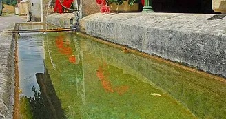 Lavoir de Vitry-en-Montagne