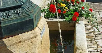 Fontaine de Saint-Loup-sur-Aujon Fontaine de Saint-Loup-sur-Aujon
