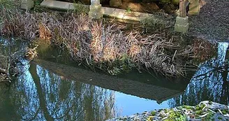 Lavoir de Dommarien