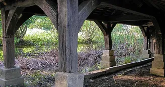Lavoir de Dommarien